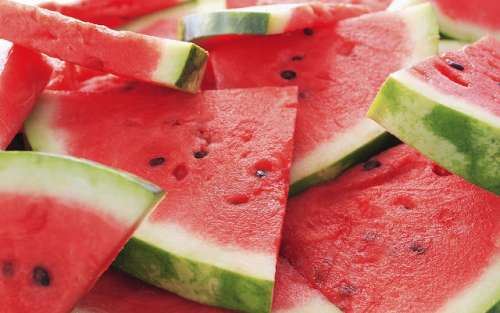 Stainless Steel Watermelon Slicer